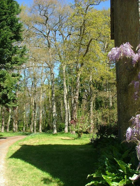 Gites De Launay Guibert Miniac-Morvan ภายนอก รูปภาพ