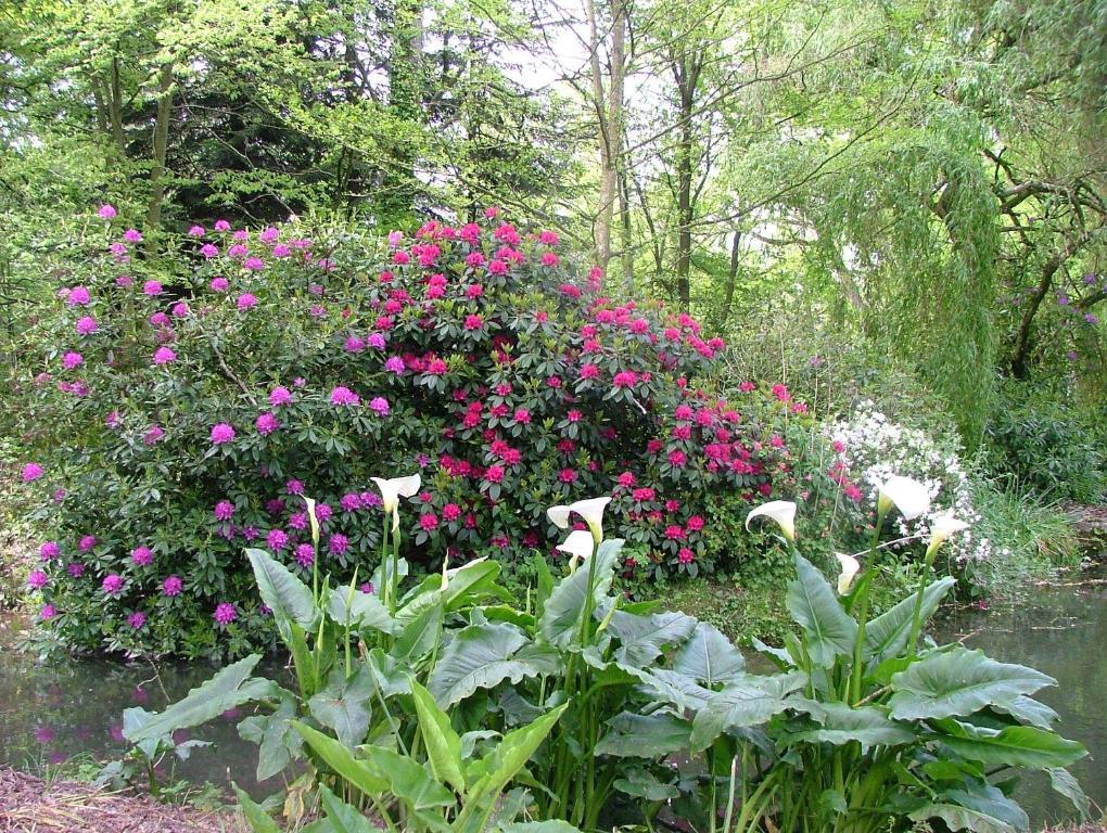 Gites De Launay Guibert Miniac-Morvan ภายนอก รูปภาพ